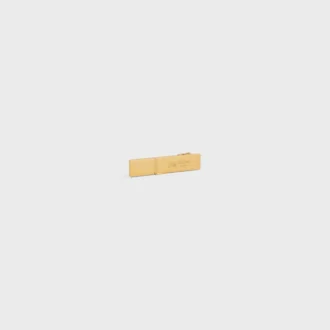 Celine Sulky Hair Clip in Brass with Gold Finish and Steel Celine Sulky Hair Clip in Brass with Gold Finish and Steel