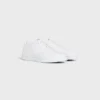 Celine Trainer Ct-04 Low Lace-Up Sneaker in Calfskin