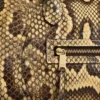 Little Luggage in Python