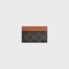 Medium Card Holder in Triomphe Canvas and Calfskin