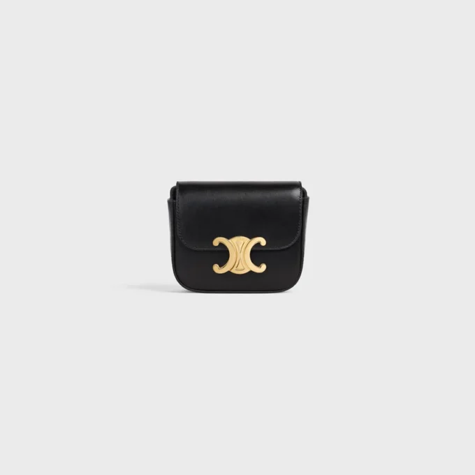 Mini Claude in Shiny Calfskin