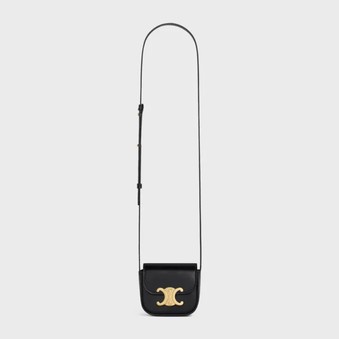 Mini Claude in Shiny Calfskin