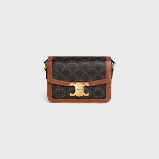 Teen Triomphe Bag in Triomphe Canvas and Calfskin