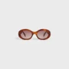 Triomphe 01 Sunglasses in Acetate