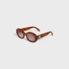 Triomphe 01 Sunglasses in Acetate