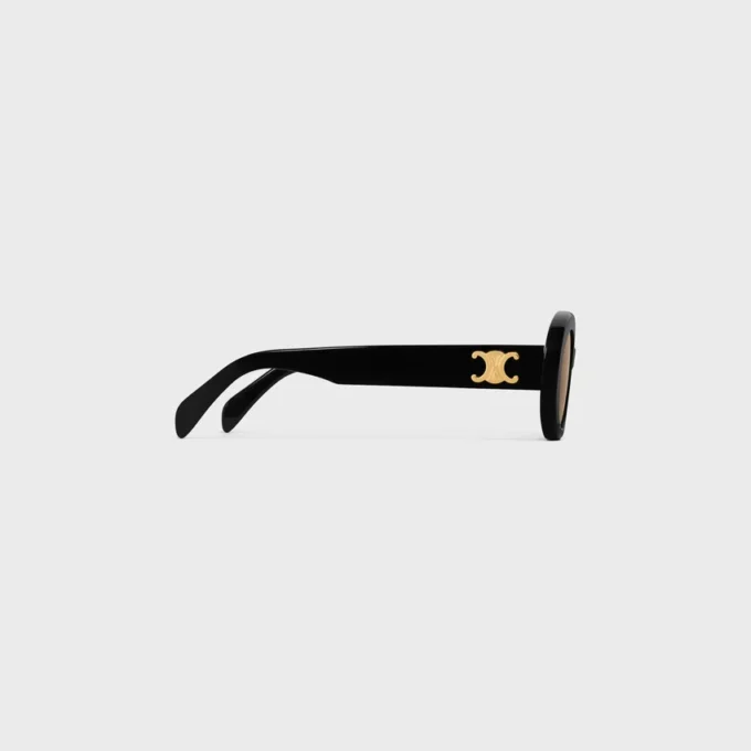 Triomphe 01 Sunglasses in Acetate