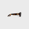 Triomphe 04 Sunglasses in Acetate