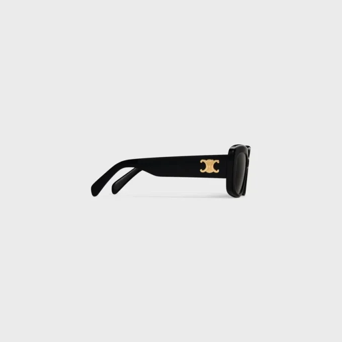 Triomphe 04 Sunglasses in Acetate