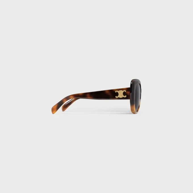 Triomphe 06 Sunglasses in Acetate