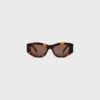 Triomphe 15 Sunglasses in Acetate
