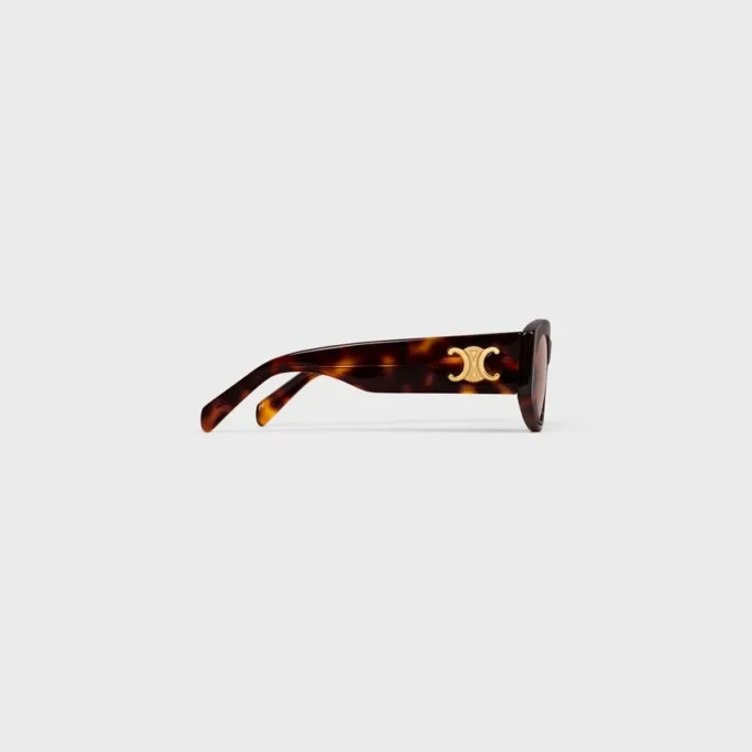 Triomphe 15 Sunglasses in Acetate