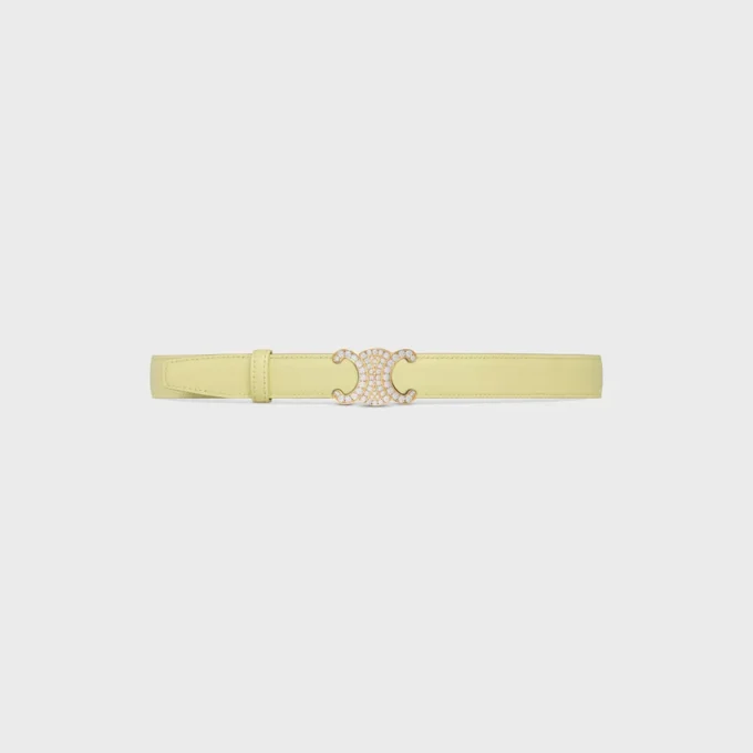 Triomphe Buckle & Reversible Strap 25Mm