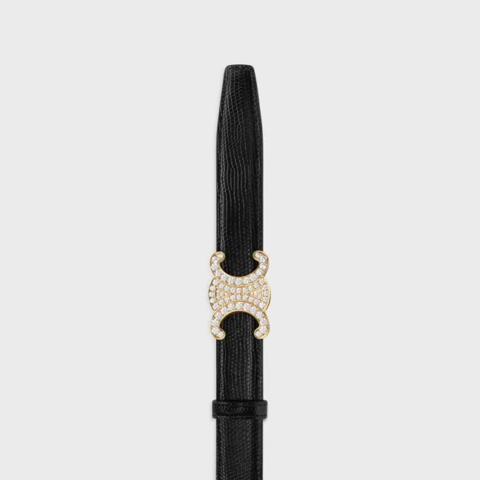 Triomphe Buckle & Reversible Strap 25Mm