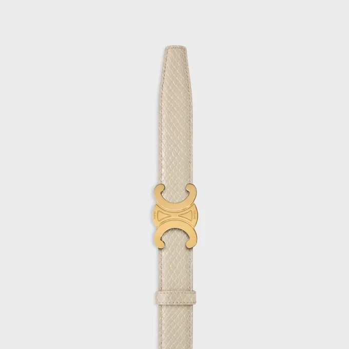 Triomphe Buckle & Reversible Strap 25Mm