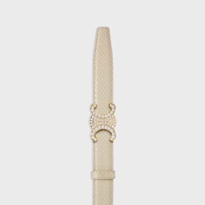 Triomphe Buckle & Reversible Strap 25Mm