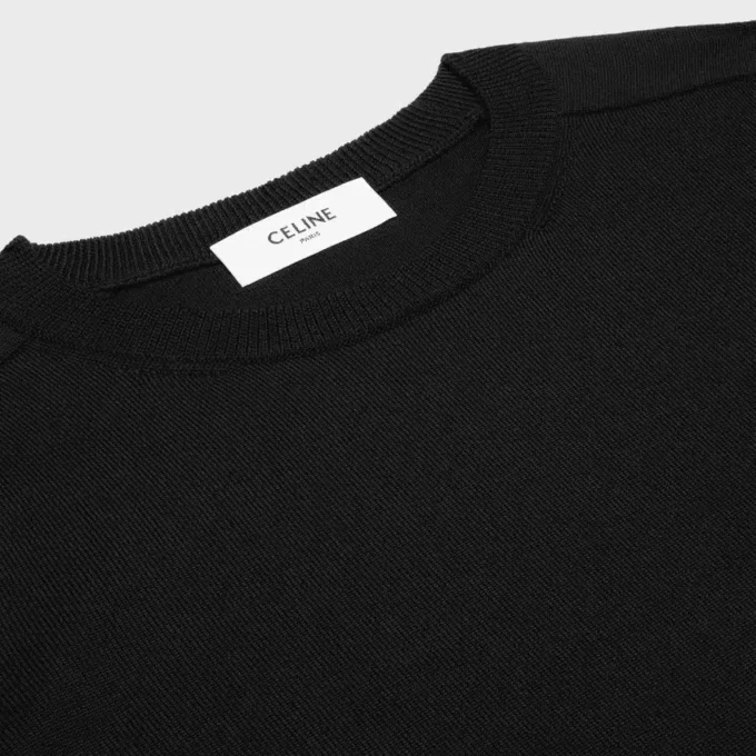 Triomphe Crew Neck Sweater in Wool